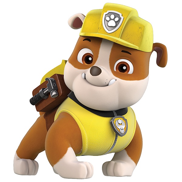 Paw Patrol: Esta é a idade humana dos personagens PAW Patrol