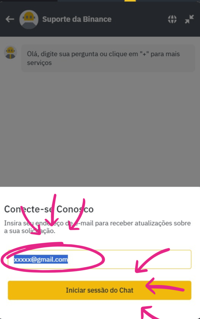 Imagem da tela do suporte, clique em inserir o endereço de e-mail e escolha a opção iniciar sessão do chat