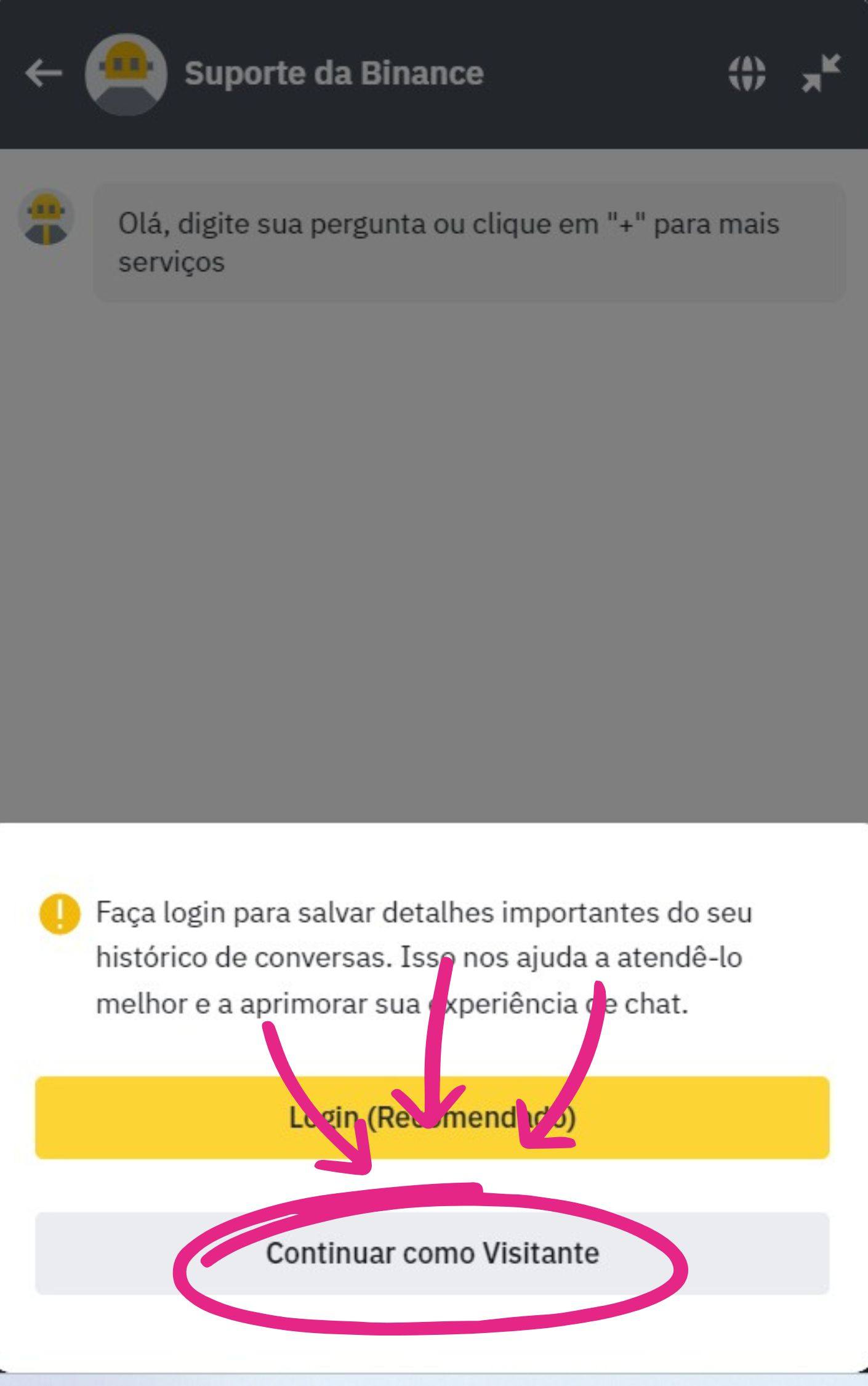 Opção do chat de continuar como visitante e abrir o suporte